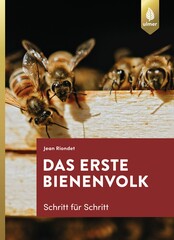 Das erste Bienenvolk  Schritt fr Schritt